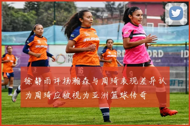 徐静雨评杨瀚森与周琦表现差异认为周琦应被视为亚洲篮球传奇