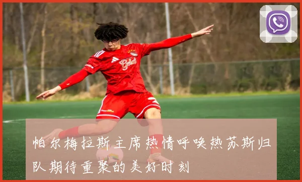 帕尔梅拉斯主席热情呼唤热苏斯归队期待重聚的美好时刻