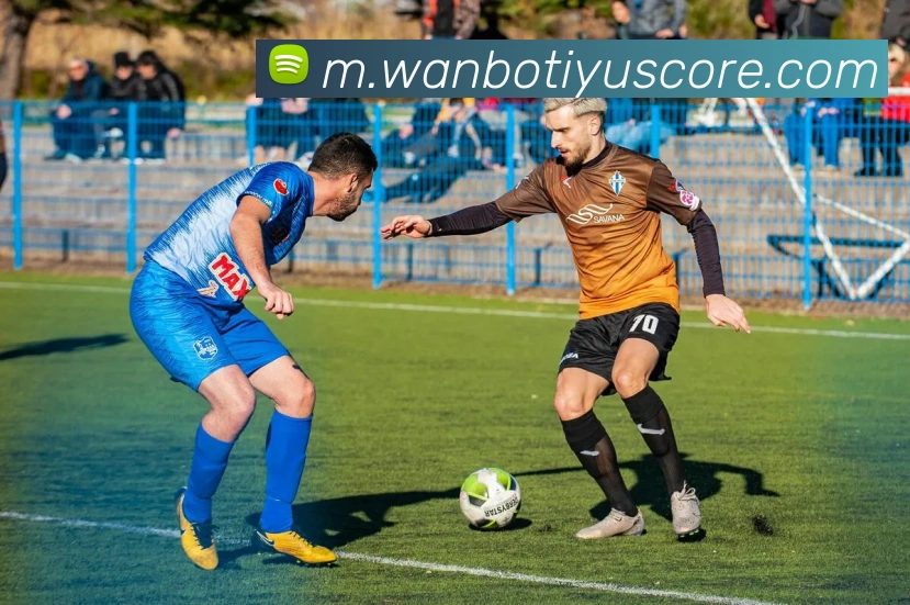 万博体育APP 封面图